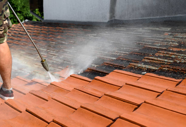 Best Sidewalk Pressure Washing  in Westchester, IL
